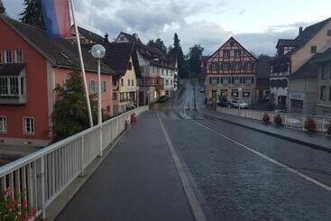 Отель Schwanen