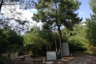 호텔 Apollon Resort