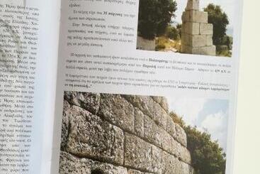 호텔 Apollon Resort