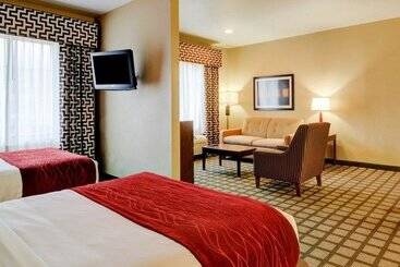 هتل Comfort Inn & Suites Fort Smith I540