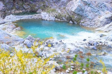 هتل Kinugawaonsen Hananoyado Matsuya