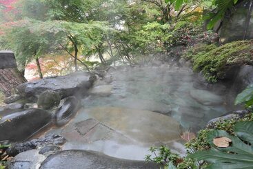 هتل Kinugawaonsen Hananoyado Matsuya