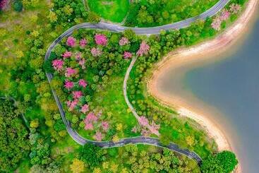 هتل Dongguan Royal Garden