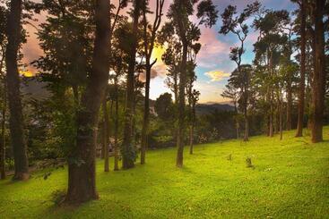 Greenwoods Resort, Thekkady