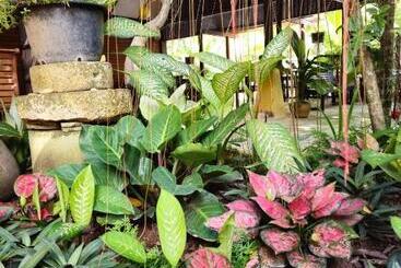 هتل Baan Panwa Resort