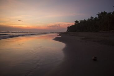 هتل Kelapa Retreat & Spa