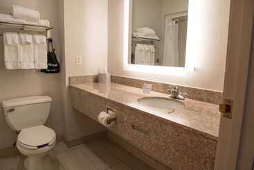 Holiday Inn Express Hotel & Suites Elkhart South, An Ihg