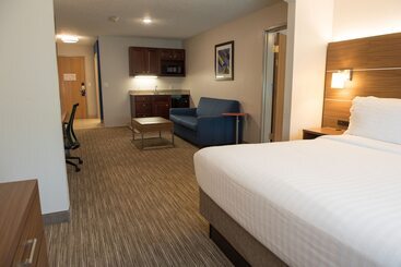 Holiday Inn Express Hotel & Suites Elkhart South, An Ihg