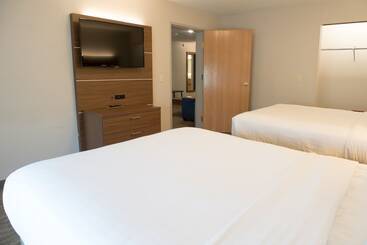Holiday Inn Express Hotel & Suites Elkhart South, An Ihg