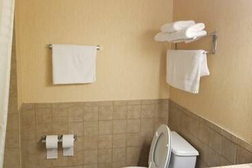 هتل Airway Inn   Iah Airport