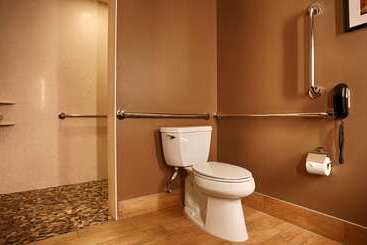 هتل Best Western Premier Ivy Inn & Suites
