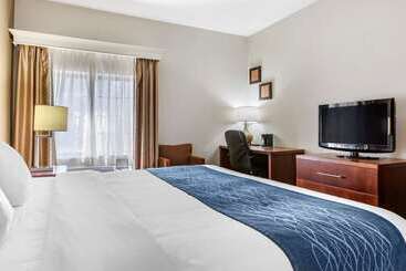 هتل Comfort Inn Downtown  University Area