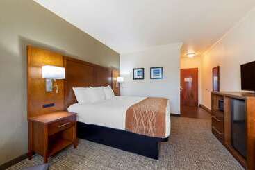 هتل Comfort Inn Near University