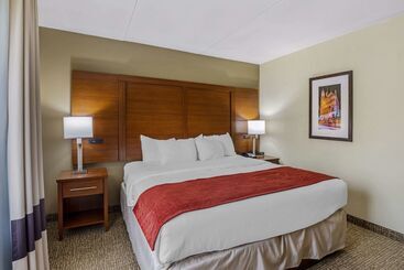 هتل Comfort Suites At Virginia Center Commons