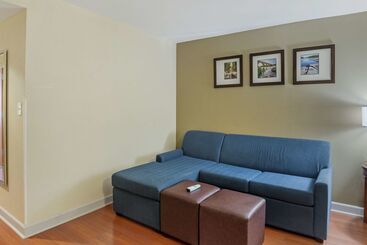 هتل Comfort Suites At Virginia Center Commons