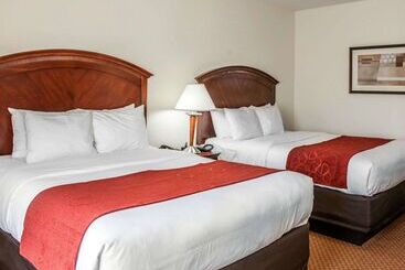 هتل Comfort Suites Near Indianapolis Airport