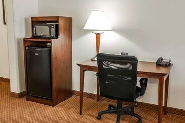 هتل Comfort Suites Near Indianapolis Airport