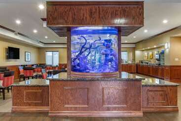 هتل Comfort Suites Near Texas A&m   Corpus Christi