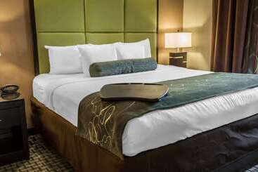 هتل Comfort Suites New Bern Near Cherry Point