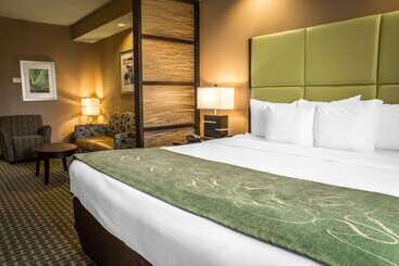 هتل Comfort Suites New Bern Near Cherry Point