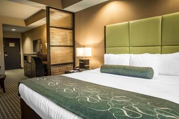 هتل Comfort Suites New Bern Near Cherry Point