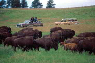 هتل Fairfield Inn & Suites Rapid City