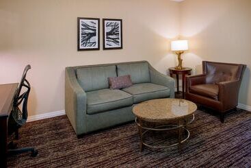 هتل Hilton Garden Inn St. Louis Airport