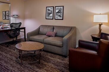 هتل Hilton Garden Inn St. Louis Airport