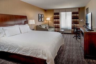 هتل Hilton Garden Inn St. Louis Airport