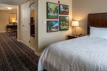 هتل Hilton Garden Inn St. Louis Airport