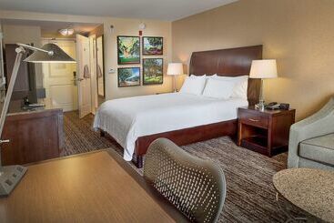 هتل Hilton Garden Inn St. Louis Airport