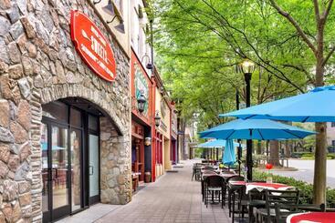 هتل Holiday Inn Express & Suites Greenville Downtown, An Ihg