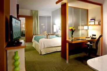 هتل Springhill Suites By Marriott Huntsville Downtown