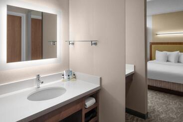 هتل Springhill Suites Pittsburgh Southside Works
