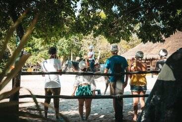 استراحتگاه El Dorado Casitas Royale Catamarán, Cenote & More Inclusive