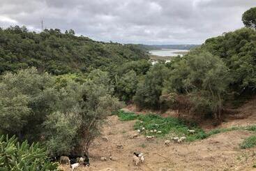 مسافرخانه Herdade Do Freixial   Turismo Rural