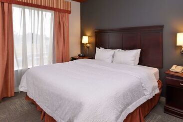 هتل Hampton Inn & Suites Greenville