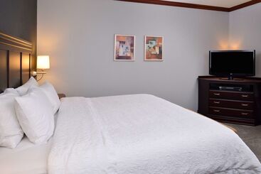 هتل Hampton Inn & Suites Greenville