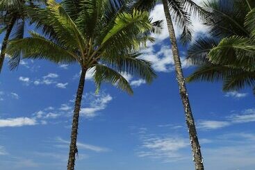 هتل Khaolak Bayfront Resort