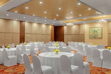 Radisson Blu Plaza Hotel Hyderabad Banjara Hills