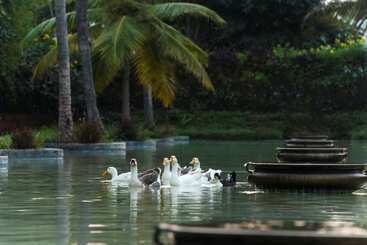 هتل The Windflower Resorts And Spa