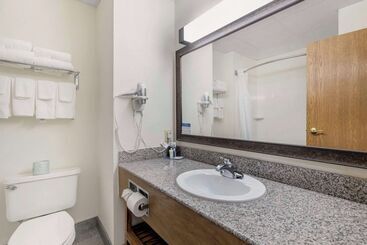 ホテル Comfort Inn & Suites Mt. Rushmore