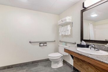ホテル Comfort Inn & Suites Mt. Rushmore