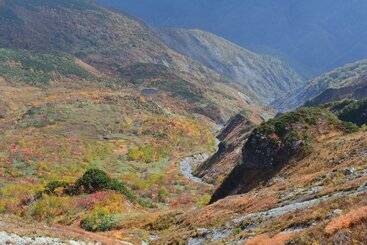 酒店 Hakuba Mominoki