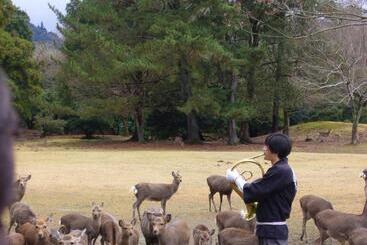 تختخواب و صبحانه Kotonoyado Musashino
