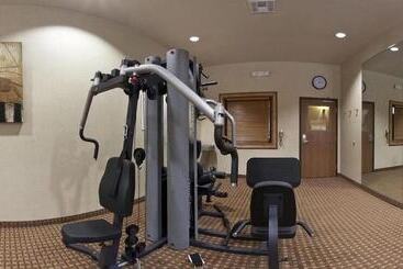 Holiday Inn Express Hotel And Suites Kingsville, An Ihg