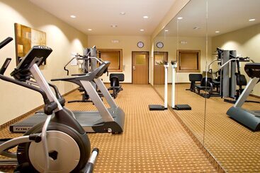 Holiday Inn Express Hotel And Suites Kingsville, An Ihg