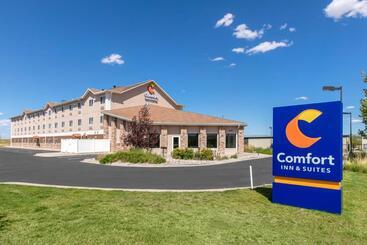هتل Comfort Inn & Suites Near University Of Wyoming