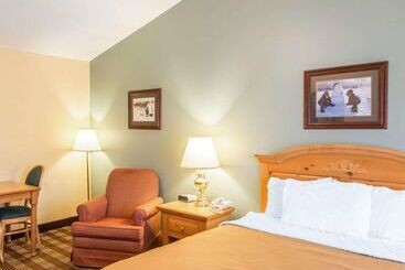 酒店 Econo Lodge Inn & Suites