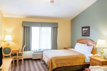 酒店 Econo Lodge Inn & Suites
